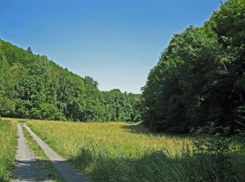 Randonnée A pied Knetzgau - Lauftour KNE3 - Photo