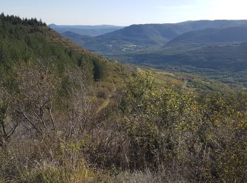 Excursión Marcha nórdica Les Plans - Perthus Grézac Domen - Photo