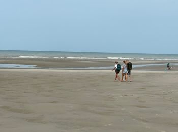 Tocht Stappen Neufchâtel-Hardelot - Hardelot - Photo