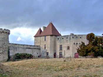 Percorso Marcia Aigueperse - Aigueperse_Chateau_Roche - Photo