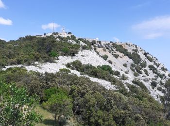 Percorso Marcia La Valette-du-Var - Mt Coudon + crêtes - Photo