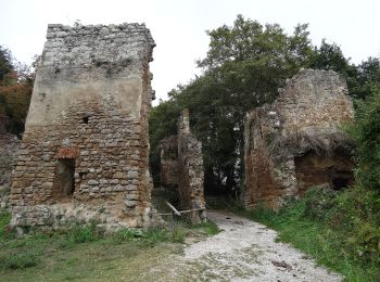 Percorso A piedi Canale Monterano - Bicione - Photo