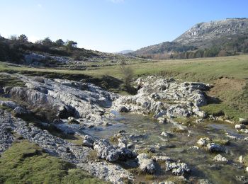 Tocht Te voet Caussols - Plateau de Caussols - Photo