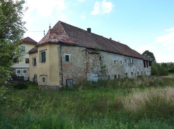 Percorso A piedi Gemeinde Rastenfeld - Golfwanderweg 82 - Photo