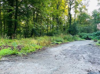 Tour Wandern Largny-sur-Automne - en Forêt de Retz_90_09_2021_la Selve - Photo