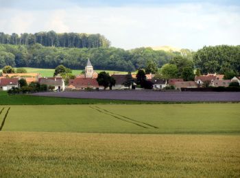 Randonnée Marche Cuisy - Les rus de Goële et la forêt de Montgé  - Photo