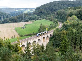 Randonnée A pied Paderborn - Rundwanderweg A3 (Dunetal) - Photo