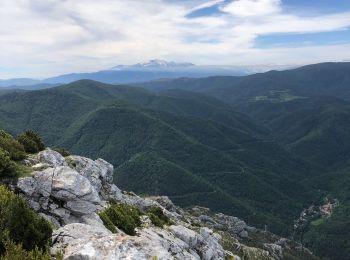 Randonnée Marche Fenouillet - Au départ du hameau les bordes  - Photo