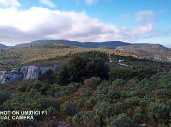 Excursión Senderismo La Destrousse - Antenne M'ont des Marseillais - Photo