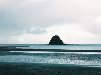 Tour Zu Fuß Rodney - Te Araroa - 02 Auckland - e Puhoi to Wenderholm Kayak - Photo