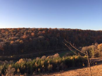 Tour Mountainbike L'Isle-en-Rigault - Rando Lisle monplone brillons Lisle  - Photo