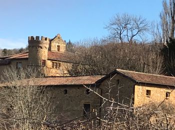 Tour Wandern Val d'Oingt - Oingt en Beaujolais (13 km - D. 405 m) - Photo