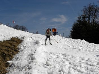 Excursión A pie Gemeinde Kleinzell - Nagelland Alm - Traisner Hütte - Photo