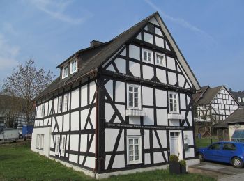 Excursión A pie Hallenberg - Hallenberg Rundweg H1 Siegelsbergweg - Photo