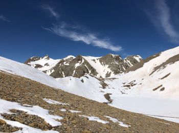 Tocht Sneeuwschoenen Entraunes - Sommet du Lausson - Photo