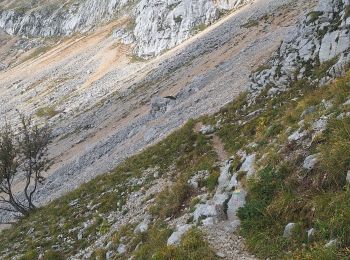 Tocht Stappen Le Gua - Prelenfrey-Pas de loeille - Photo