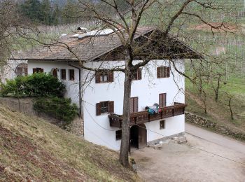 Trail On foot Tisens - Tesimo - Wanderweg 6 - Photo