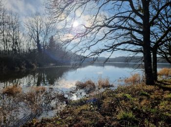 Tour Wandern Tour-en-Sologne - tour en sologne - Photo