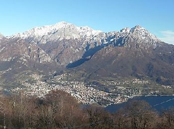 Excursión A pie Magreglio - Sentiero del Tivano - Photo