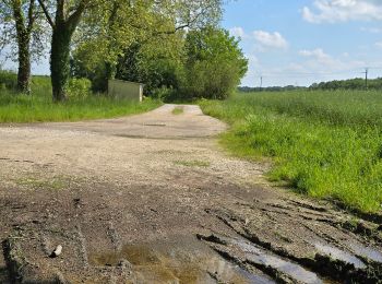 Percorso Marcia Lignières - Lignières - Autour de Rocheux - Photo