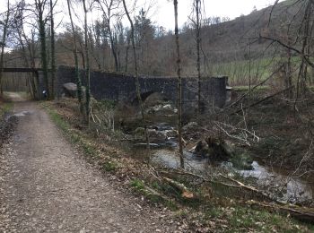 Tour Wandern Salvizinet - Salvizinet et vers monorail - Photo