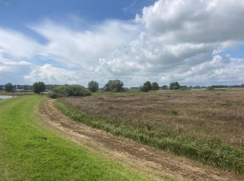 Tocht Te voet Zwolle - WNW IJsseldelta - Vreugderijkerwaard -groene route - Photo