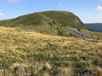 Trail On foot Murat-le-Quaire - La Banne d'Ordanche - Photo