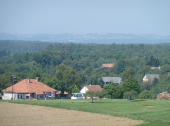 Tour Zu Fuß Kétvölgy - Réti orchideák tanösvény - Photo