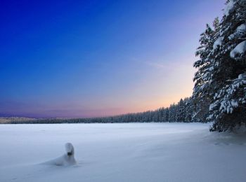 Randonnée A pied Suomussalmi - Hakokosken Hujaus - Photo