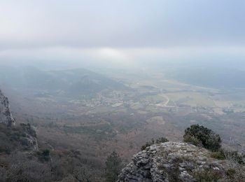 Randonnée A pied Saou - Rando-trail à Saou (Rochecolombe, Grand Pommerolle) - Photo