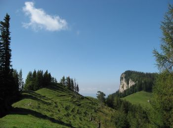 Percorso A piedi Fladnitz an der Teichalm - Wanderweg 13 - Photo