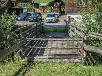 Trail On foot Hergiswil bei Willisau - Chanzelsagen - Hübeli - Photo