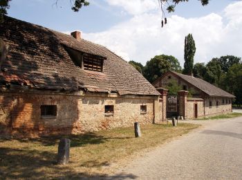 Tocht Te voet Kamiennik - Nowina-Kamiennik - Photo