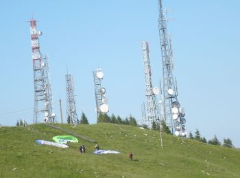 Trail On foot Aviano - Sentiero Policreti - Photo