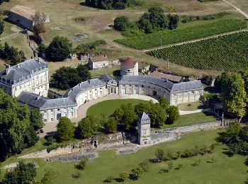 Trail Walking Saint-André-de-Cubzac - SAINT ANDRE campagne 8.2 km - Photo