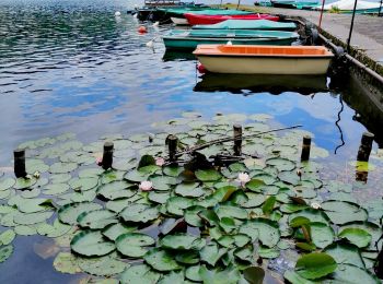 Tour Wandern Xonrupt-Longemer - Sentier du tour du lac de Gérardmer - Photo