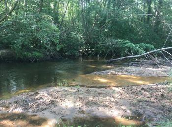 Randonnée Randonnée équestre Landiras - Val de Tursan - Haras de la Grézère  - Photo