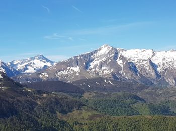 Excursión Senderismo Ferrières - granquet - Photo