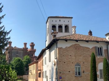 Percorso Marcia Barolo - Barolo Vergne Novello - Photo