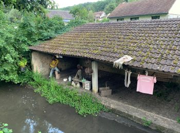 Randonnée Marche nordique Saint-Chéron - Héliomonde St Chéron, tour par Sermaise St Evroult - Photo