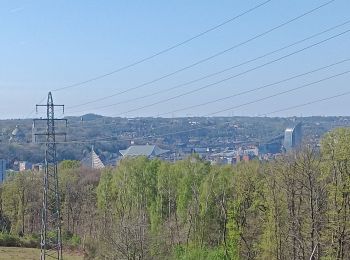 Tocht Stappen Luik - angleur gare . sart tilman via bois St Laurent.retour via bois St jean - Photo