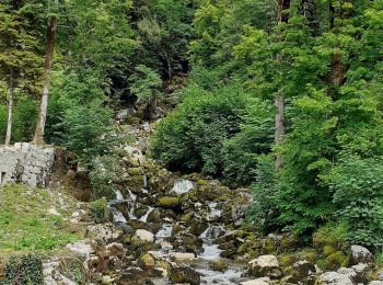 Tocht Stappen Saint-Maurice-Crillat - la frasnee - Photo