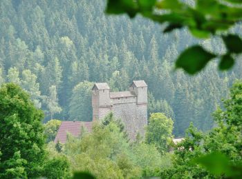 Tocht Te voet Neuweiler - Zwerenberg-Berneck - Photo