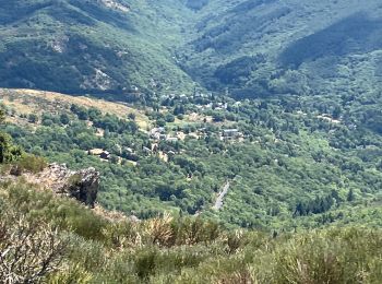 Tocht Stappen Dourbies - La Dourbie la Hêtraie la Dourbie - Photo