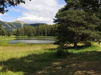 Trail Walking Bayons - Le Col de Clapouse par les Monges - Photo