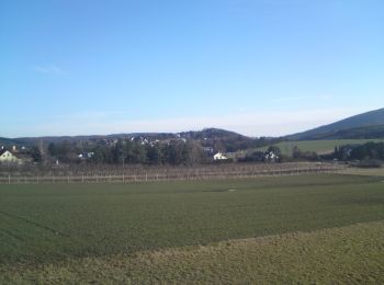 Trail On foot Gemeinde Alland - Mayerling - Preinsfeld - Siegenfeld - Gaaden - Photo