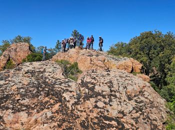 Excursión Senderismo Le Muy - 2024-04-17_09h53m25_visorando-2024-04-19-les-roches-de-la-fille-isnard-gilles - Photo