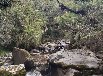 Excursión Senderismo Machachi - Cascadas de la hostelería 