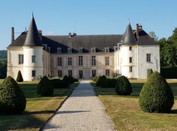 Tour Wandern Condé-en-Brie - La vallée du Surmelin - Photo