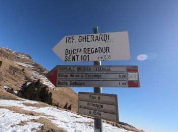 Excursión A pie Barzio - Sentiero degli stradini - Photo